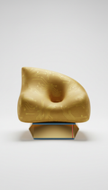 Gold Circuit Limited Edition Pillow